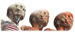Atlas de anatomia online (grátis), TECNOFAGIA
