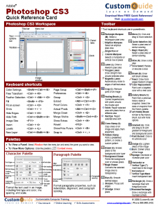 customguide11